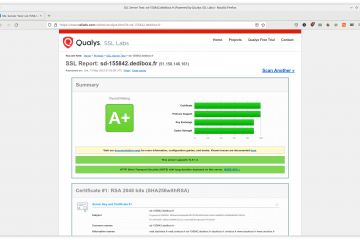 Qualys Labs SSL Test